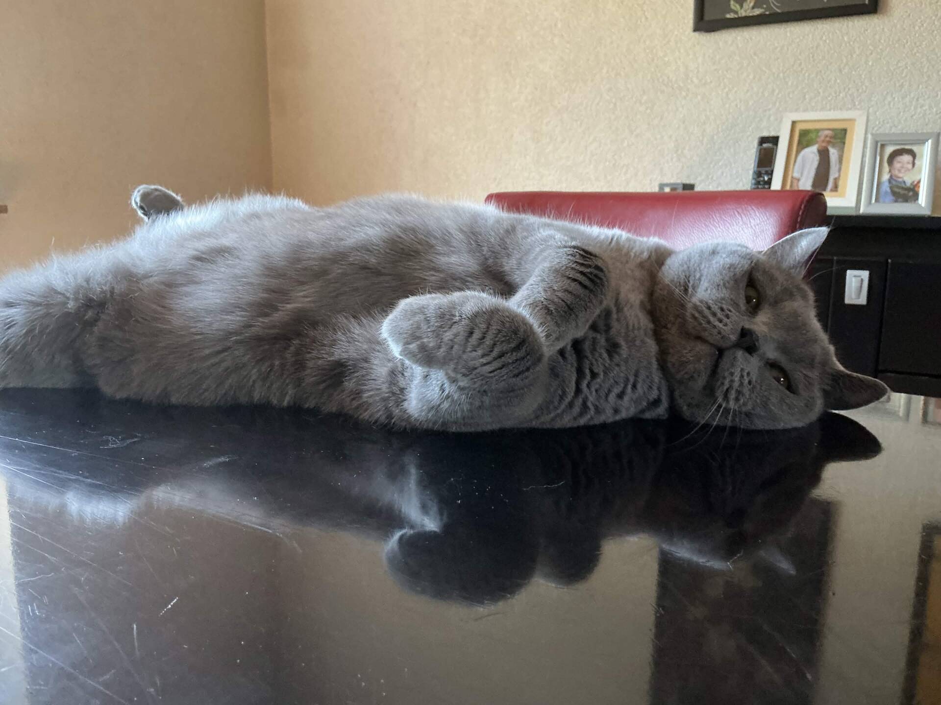 Cat 25