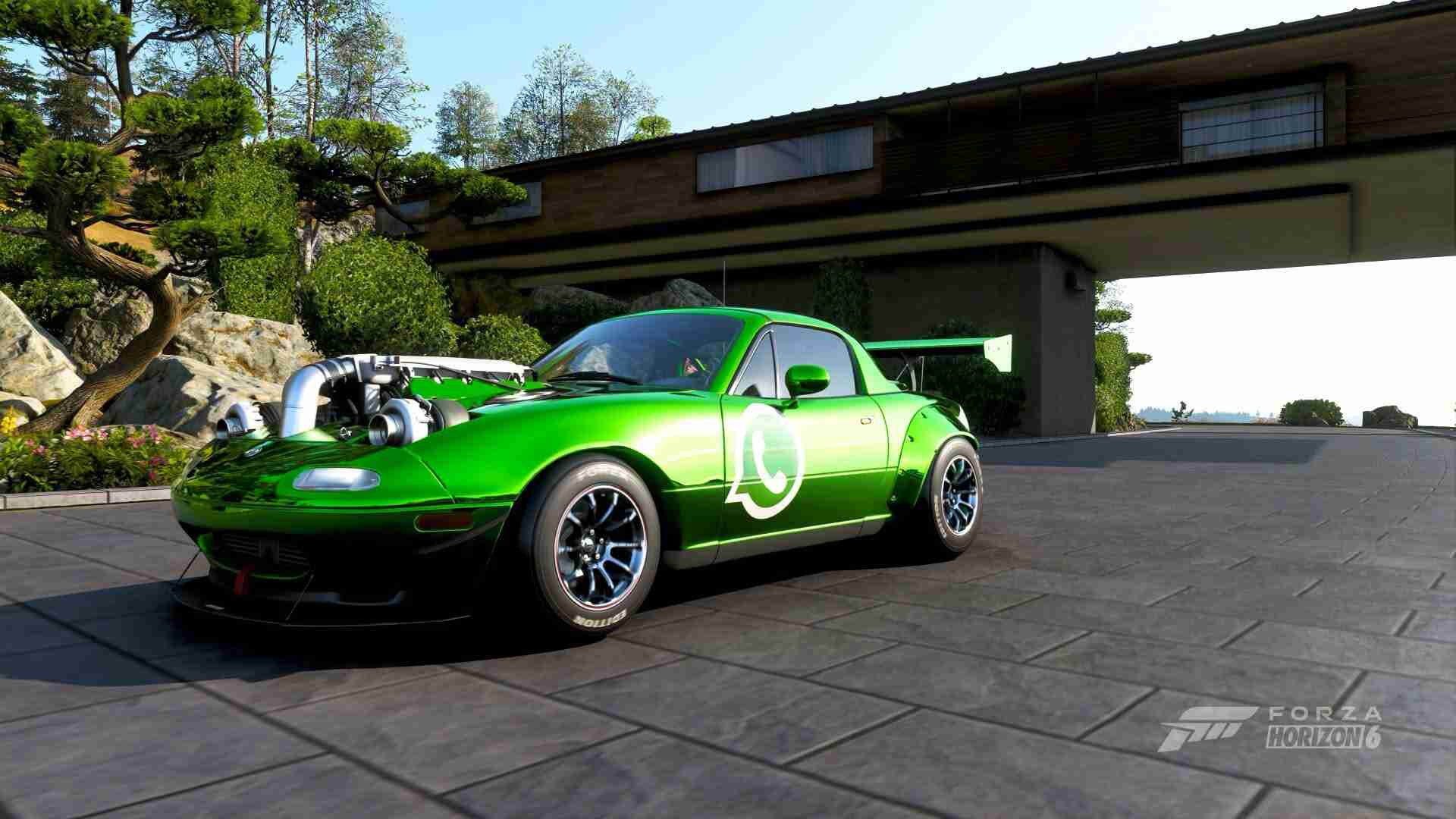 FH6 8